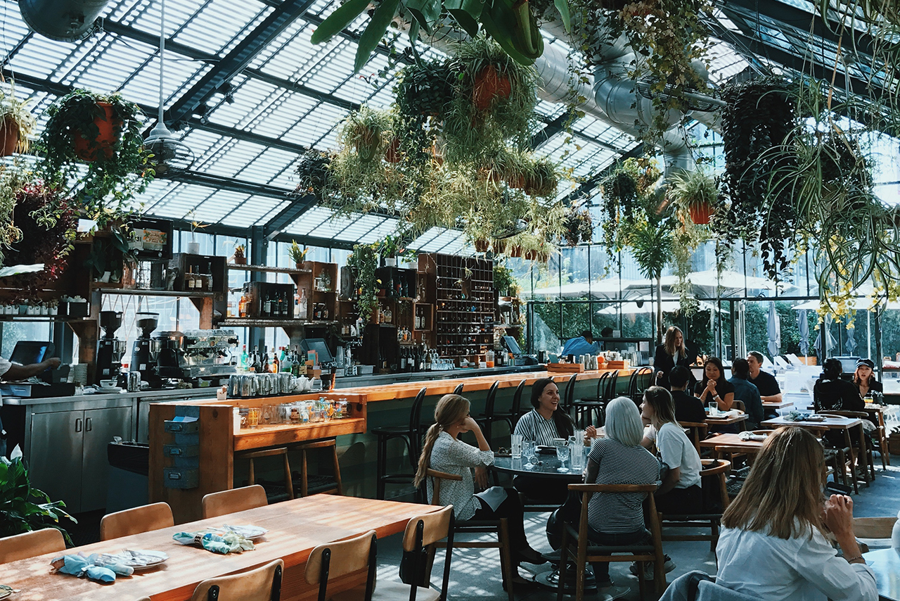 天井に植物が掛けられた大きなレストラン