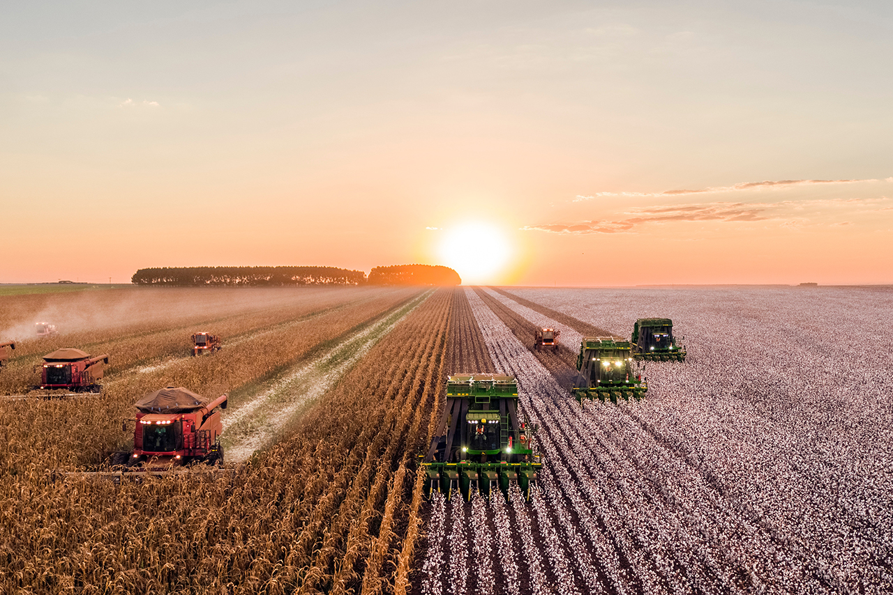 夕日をバックに麦などを刈る大型重機数台